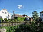 Třibřichy